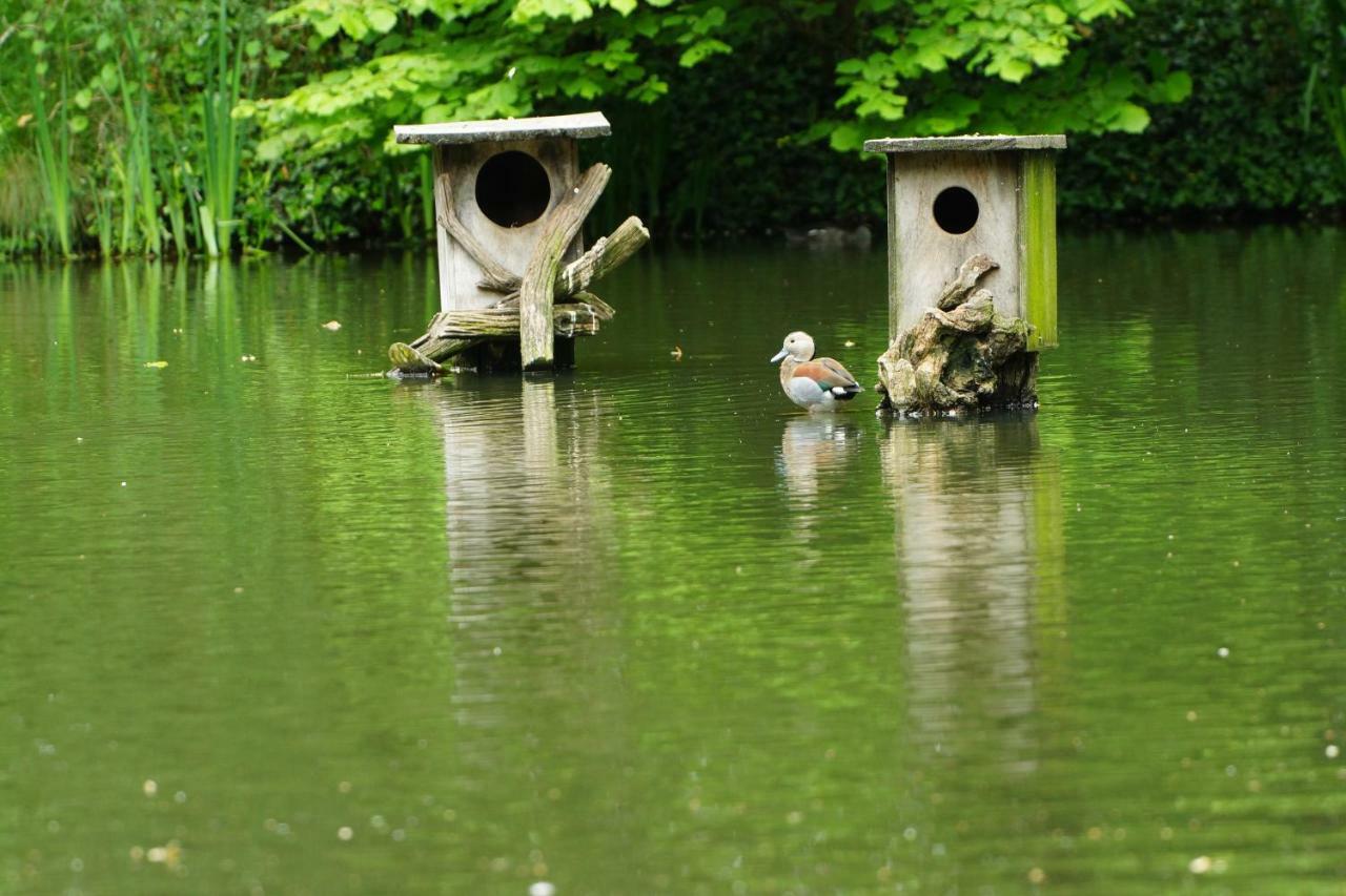 Gaestewohnung Hardinghaus Am Teich ヴァーレンドルフ エクステリア 写真