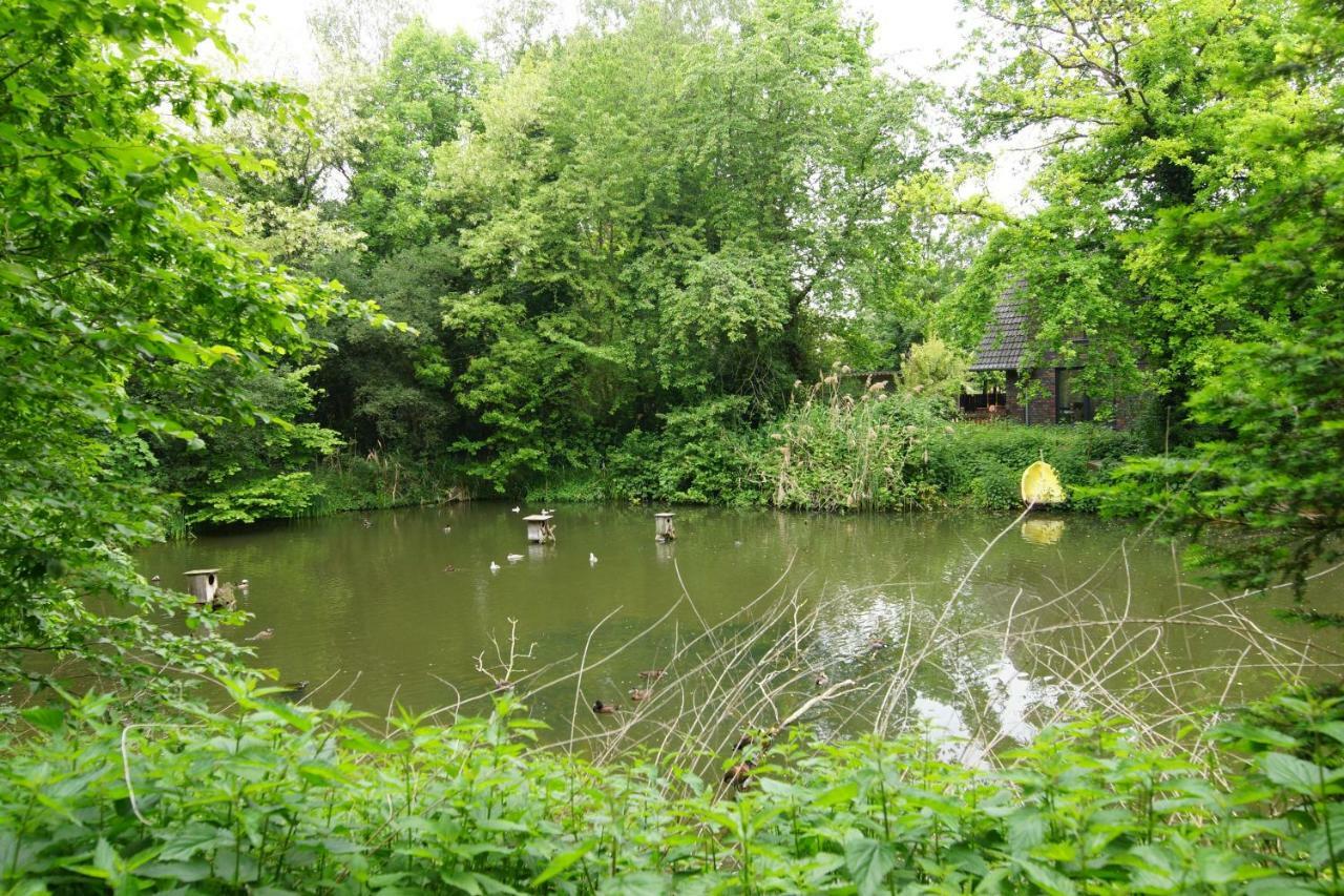 Gaestewohnung Hardinghaus Am Teich ヴァーレンドルフ エクステリア 写真
